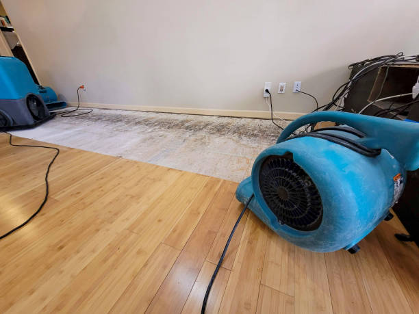 Professional Structural Drying technician working in Fremont, NH